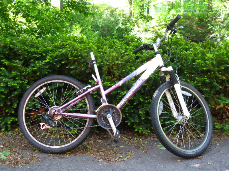 Logai Bicycle